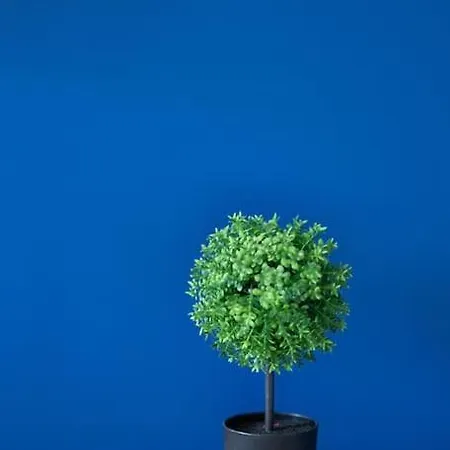 Familial 6 Personnes Au Coeur De La Nature - Lit King Size - Vue Sur Etang A 10mn Du Touquet Saint-Josse